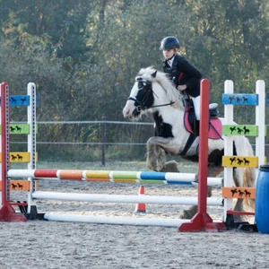 Hubertus 2019 - cz. II - konkurs skoków 70 cm (fot. Piotr Kawula)