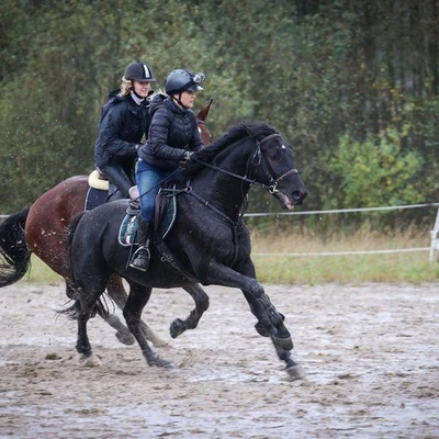 Hubertus 2017 - cz. 1 (Fot. Patrycja Dawid)