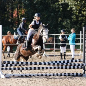 Hubertus 2019 - cz. III - konkurs skoków 50 cm (fot. Piotr Kawula)