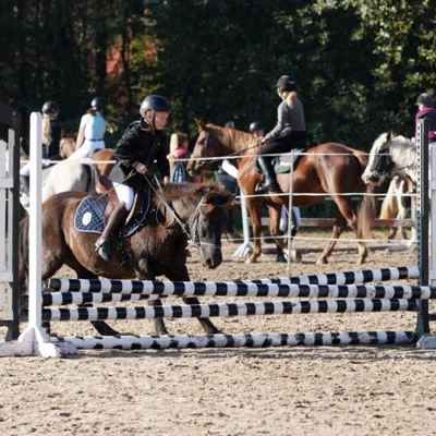 Hubertus 2019 - cz. III - konkurs skoków 50 cm (fot. Piotr Kawula)