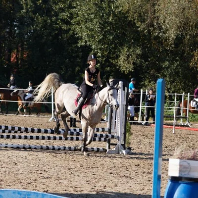 Hubertus 2019 - cz. III - konkurs skoków 50 cm (fot. Piotr Kawula)