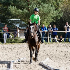 Hubertus 2019 - cz. IV - konkurs podskoków 20 cm (fot. Piotr Kawula)