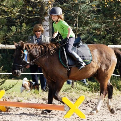 Hubertus 2019 - cz. IV - konkurs podskoków 20 cm (fot. Piotr Kawula)