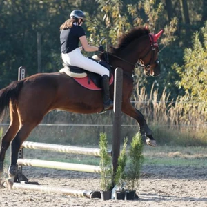 Hubertus 2019 - cz. II - konkurs skoków 70 cm (fot. Piotr Kawula)