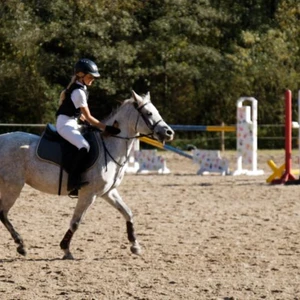 Hubertus 2019 - cz. VII - pogoń za lisem o puchar Dziekana (fot. Piotr Kawula)