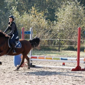 Hubertus 2019 - cz. III - konkurs skoków 50 cm (fot. Piotr Kawula)