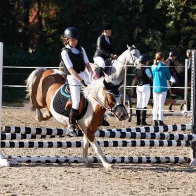 Hubertus 2019 - cz. III - konkurs skoków 50 cm (fot. Piotr Kawula)