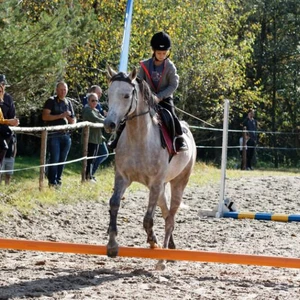 Hubertus 2019 - cz. IV - konkurs podskoków 20 cm (fot. Piotr Kawula)