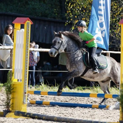 Hubertus 2019 - cz. IV - konkurs podskoków 20 cm (fot. Piotr Kawula)