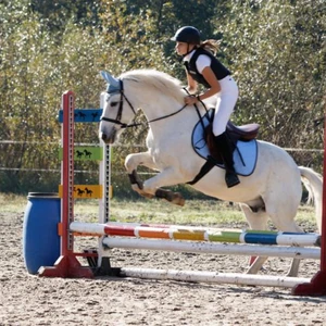 Hubertus 2019 - cz. III - konkurs skoków 50 cm (fot. Piotr Kawula)