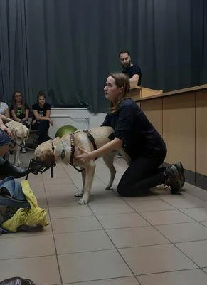 Zoofizjoterapia - pokaz psiego fitnessu (fot. Ola Marzec)