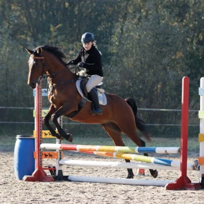 Hubertus 2019 - cz. II - konkurs skoków 70 cm (fot. Piotr Kawula)