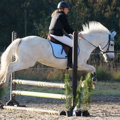 Hubertus 2019 - cz. II - konkurs skoków 70 cm (fot. Piotr Kawula)