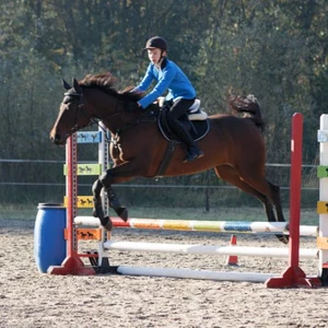 Hubertus 2019 - cz. II - konkurs skoków 70 cm (fot. Piotr Kawula)