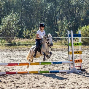 Hubertus 2018 - cz. II (Fot. Konrad Mika)