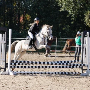 Hubertus 2019 - cz. III - konkurs skoków 50 cm (fot. Piotr Kawula)