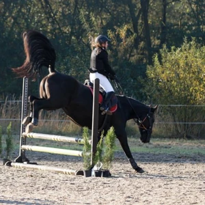 Hubertus 2019 - cz. II - konkurs skoków 70 cm (fot. Piotr Kawula)