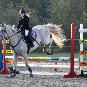 Hubertus 2019 - cz. II - konkurs skoków 70 cm (fot. Piotr Kawula)