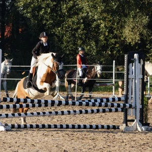 Hubertus 2019 - cz. II - konkurs skoków 70 cm (fot. Piotr Kawula)