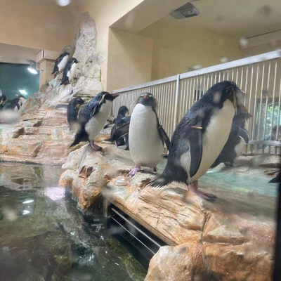 Zajęcia terenowe - ogrody zoologiczne w Wiedniu_6