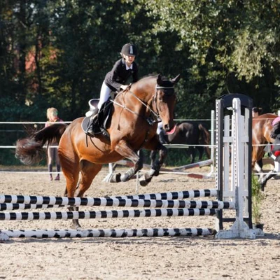 Hubertus 2019 - cz. III - konkurs skoków 50 cm (fot. Piotr Kawula)