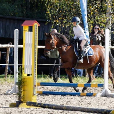 Hubertus 2019 - cz. IV - konkurs podskoków 20 cm (fot. Piotr Kawula)