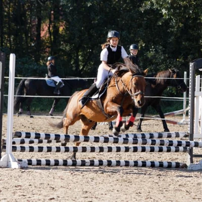 Hubertus 2019 - cz. III - konkurs skoków 50 cm (fot. Piotr Kawula)