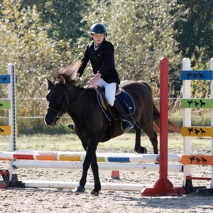 Hubertus 2019 - cz. III - konkurs skoków 50 cm (fot. Piotr Kawula)