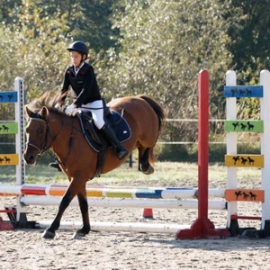 Hubertus 2019 - cz. III - konkurs skoków 50 cm (fot. Piotr Kawula)