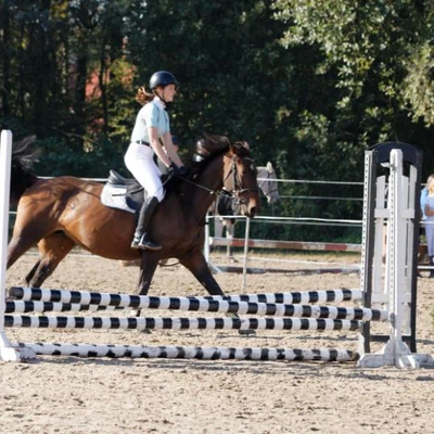 Hubertus 2019 - cz. III - konkurs skoków 50 cm (fot. Piotr Kawula)