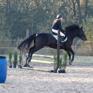 Hubertus 2019 - cz. II - konkurs skoków 70 cm (fot. Piotr Kawula)