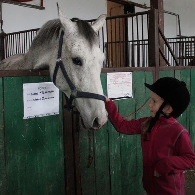 Inauguracja sezonu HIPPIKI w Ośrodku Jazdy Konnej