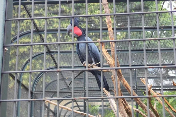 Zajęcia terenowe - ogrody zoologiczne w Wiedniu_11