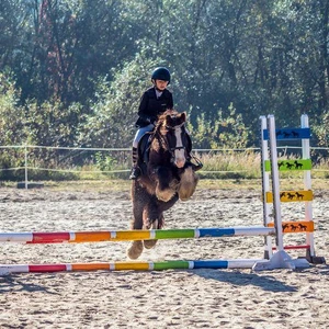 Hubertus 2018 - cz. II (Fot. Konrad Mika)