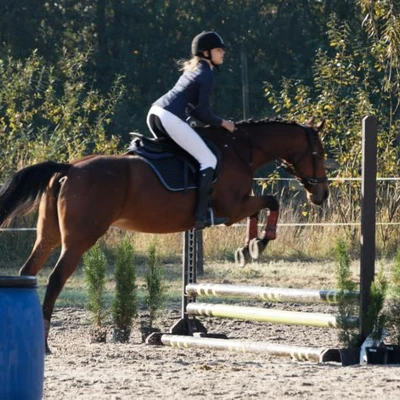 Hubertus 2019 - cz. III - konkurs skoków 50 cm (fot. Piotr Kawula)