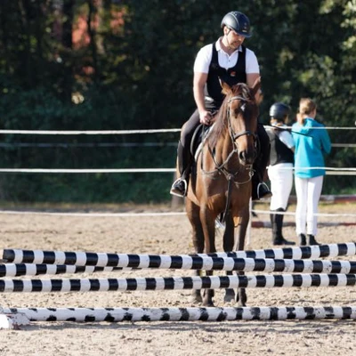 Hubertus 2019 - cz. III - konkurs skoków 50 cm (fot. Piotr Kawula)