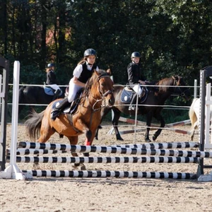 Hubertus 2019 - cz. III - konkurs skoków 50 cm (fot. Piotr Kawula)