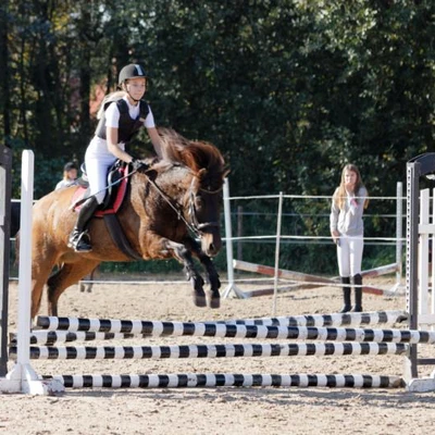 Hubertus 2019 - cz. III - konkurs skoków 50 cm (fot. Piotr Kawula)