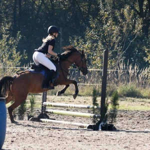 Hubertus 2019 - cz. III - konkurs skoków 50 cm (fot. Piotr Kawula)