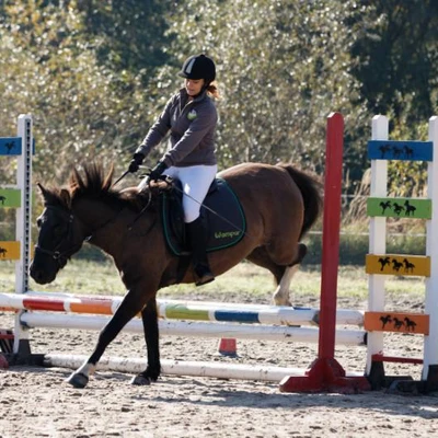 Hubertus 2019 - cz. III - konkurs skoków 50 cm (fot. Piotr Kawula)