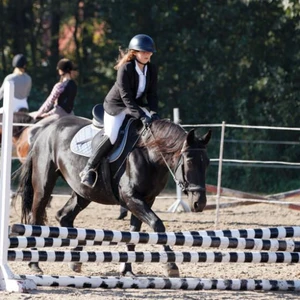 Hubertus 2019 - cz. III - konkurs skoków 50 cm (fot. Piotr Kawula)