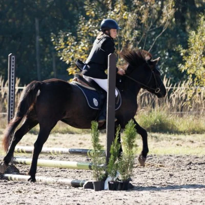 Hubertus 2019 - cz. III - konkurs skoków 50 cm (fot. Piotr Kawula)