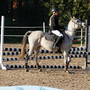 Hubertus 2019 - cz. II - konkurs skoków 70 cm (fot. Piotr Kawula)