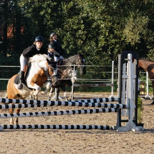 Hubertus 2019 - cz. II - konkurs skoków 70 cm (fot. Piotr Kawula)