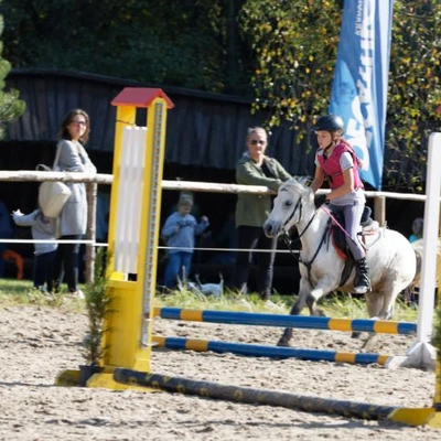 Hubertus 2019 - cz. IV - konkurs podskoków 20 cm (fot. Piotr Kawula)