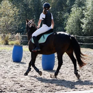 Hubertus 2019 - cz. IV - konkurs podskoków 20 cm (fot. Piotr Kawula)