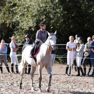 Hubertus 2019 - cz. IV - konkurs podskoków 20 cm (fot. Piotr Kawula)