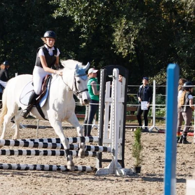 Hubertus 2019 - cz. III - konkurs skoków 50 cm (fot. Piotr Kawula)