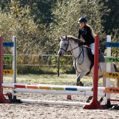 Hubertus 2019 - cz. III - konkurs skoków 50 cm (fot. Piotr Kawula)