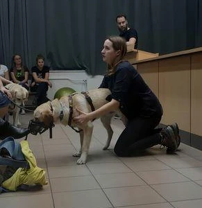 Zoofizjoterapia - pokaz psiego fitnessu (fot. Ola Marzec)